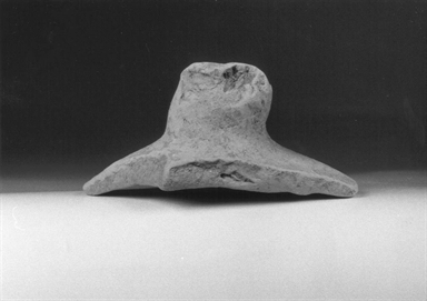 coperchio